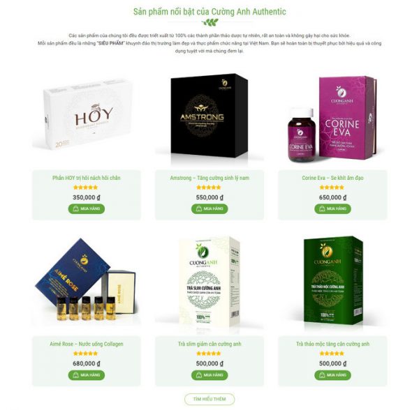 theme-wordpress-thuc-pham-chuc-nang-dong-y-hinh3-600x588